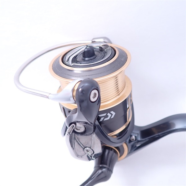 １７セオリー２５０８ＰＥ